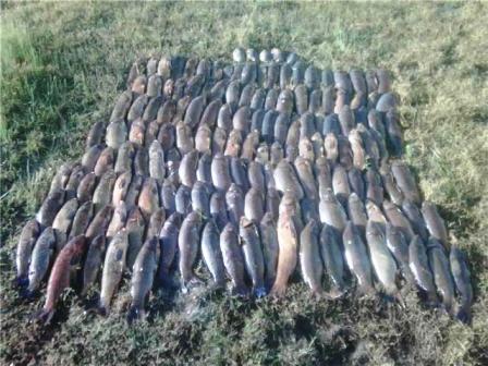 asian carp hunting tournaments indian porn stars nude anal