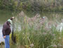 Vaughan and Scott Osmond work through the weeds to land another carp during the Wild Carp Fall Qualifier.