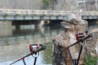 The Carolina Carp Cup will challenge paylakers' tactics and endurance on wild water. Euro-style anglers will be challenged by the close proximity fishing
