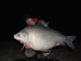 Austin Anderson set an IGFA Junior Male world record with this 50 lb, 6 oz smallmouth buffalo caught during the 2012 Lake Fork Carp & Buffalo Challenge. Lake Fork, TX