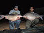 Ever seen two 50lb buffs at once? You have now! Lake Fork, TX