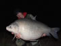 Austin Anderson with a 50+ lb smallmouth buffalo caught during the 2012 Lake Fork Carp & Buffalo Challenge. Lake Fork, TX