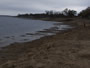 Lake Fork shoreline. Lake Fork, TX