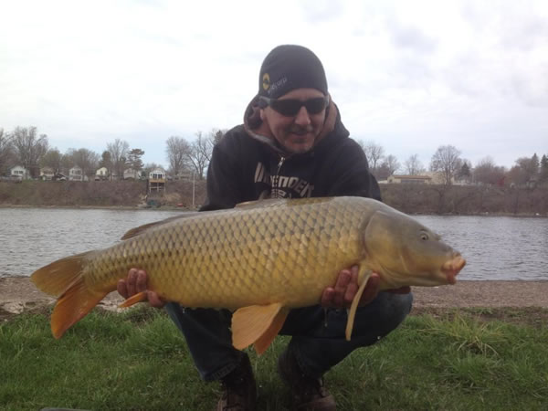 Chris West with a 22.3 lb common caught during session 1 of the Wild Carp Club of Central NY.