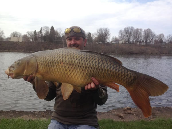 Joe Rinaldo III with a 31.0 lb common carp caught in Fulton, NY during session 1 of the Wild Carp Club of Central NY.