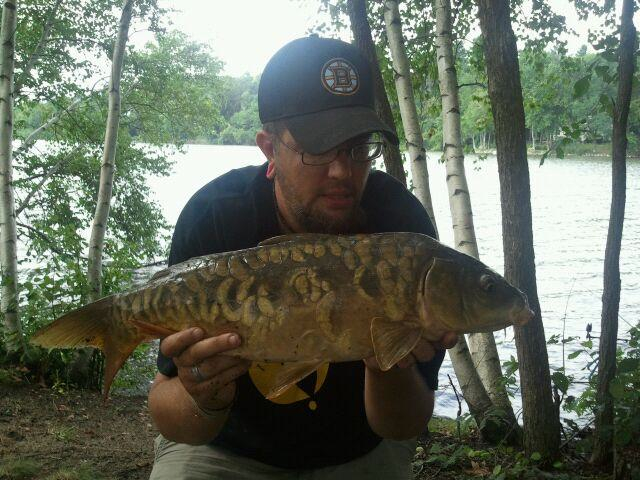 Vinny Jeffreys with an 8 lb, 0 oz mirror carp caught during sessin 4 of the 2012 season of Wild Carp Club of New England. Vinny Jeffreys with an 8 lb, 0 oz mirror carp caught during sessin 4 of the 2012 season of Wild Carp Club of New England.