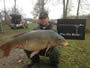 Chris Jackson (peg 4) with a 33.1 lb common caught during the '12 Wild Carp Fall Qualifier--the largest of the tournament thus far.