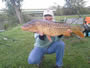 Kent Appleby with a 22.8 lb common caught during the Sept 15 CNY Shootout in Liverpool, NY