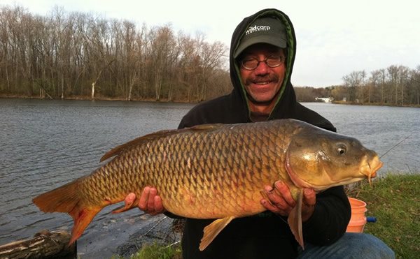 Bill Markle with a 23.0 lb common caught during hour 1 of the November 12 Shootout in Liverpool, NY. This also ended up being the largest carp caught for the day.