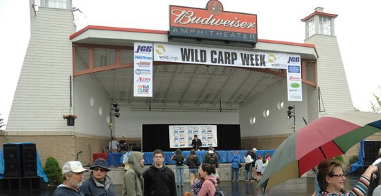 The Stage. Wild Carp Week, 2011, Baldwinsville, NY The Stage. Wild Carp Week, 2011, Baldwinsville, NY