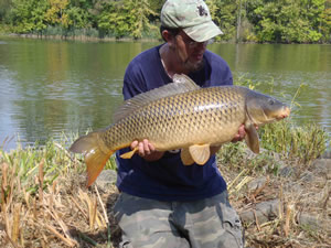 Wild Carp Week, 2011, Paper Mill Island - Wild Carp Classic Tournament, Baldwinsville, NY