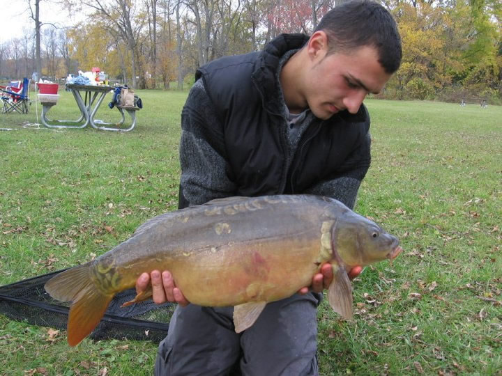 common carp facts. Henson christmas facts,; Henson christmas facts, common carp facts. common carp facts. Henson christmas facts,; Henson christmas facts,