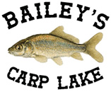 Bailey's Carp Lake