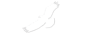 http://www.eaglenewsonline.com/