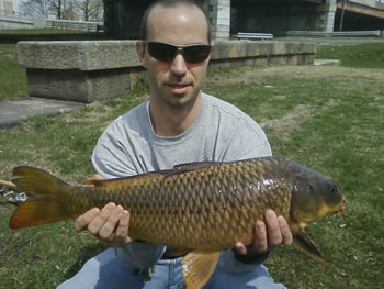Jason Carl with a 8 lb, 5 oz common caught during the very first session of Wild Carp Club of New England