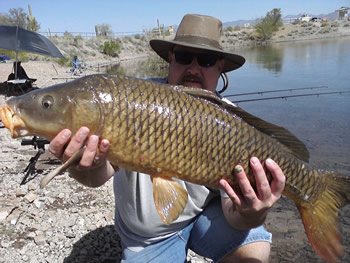 Club Director Robert Hogan with a common carp caught during a session in Arizona