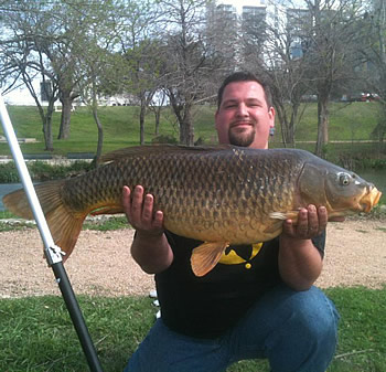 Wild Carp Club of North Texas Director Rick Wilson with a 31.1 lb common caught during the 2012 Austin Team Championship, a new personal best common for Rick