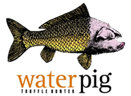 Water Pig Bait - Baldwinsville, NY